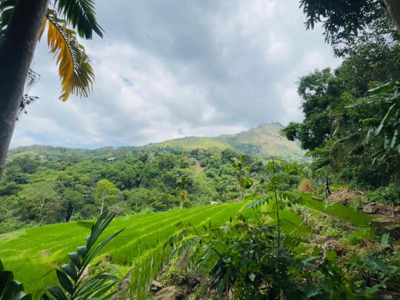 Wow Field Homestay - image 45