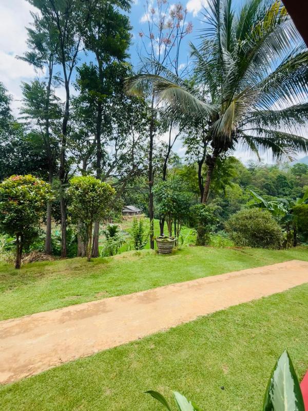 Wow Field Homestay - image 38