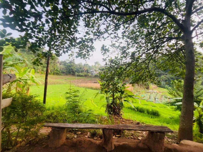 Wow Field Homestay - image 37