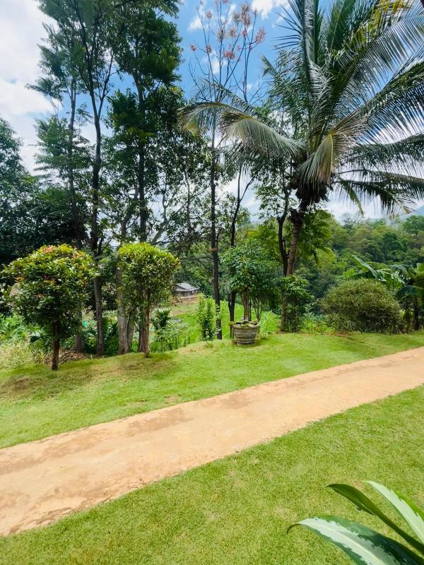 Wow Field Homestay - image 42