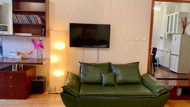 Beijing CBD Area Family Apartment - image 16