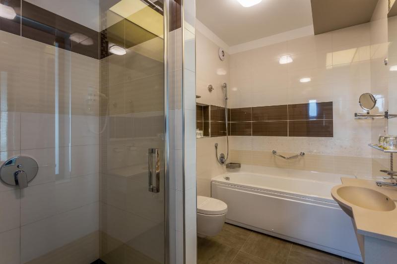 Wellness Suite with Spa Bath and Lake View  image 3
