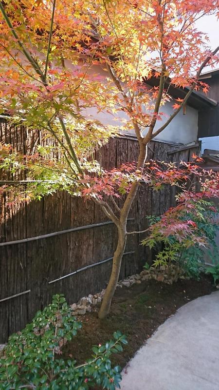 Ryokan Tanoya - image 7