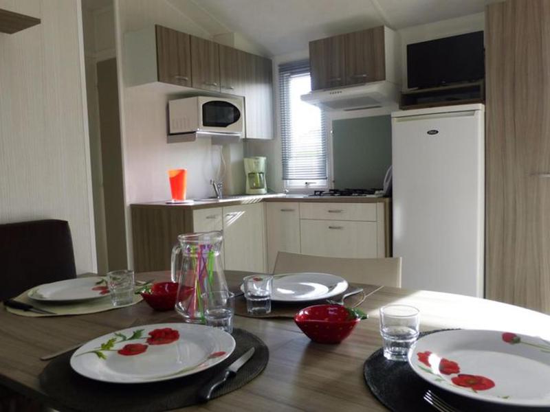 Mobil home avec terrasse pour 6 personnes - API-1-52-615 - image 4