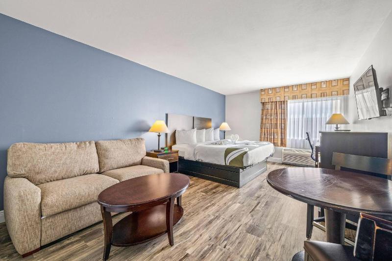 Quality Inn & Suites Tampa near Fairgrounds and Casino - image 21