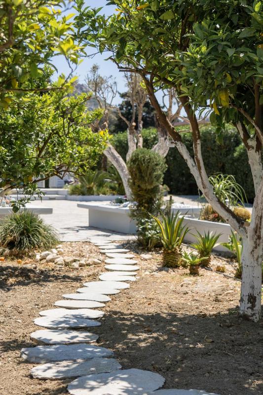 Antigone Estate - image 7