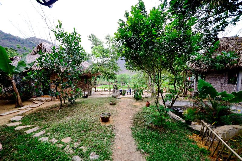 Thái Tâm homestay - image 24