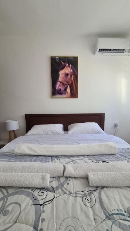 Vila Marija - image 10