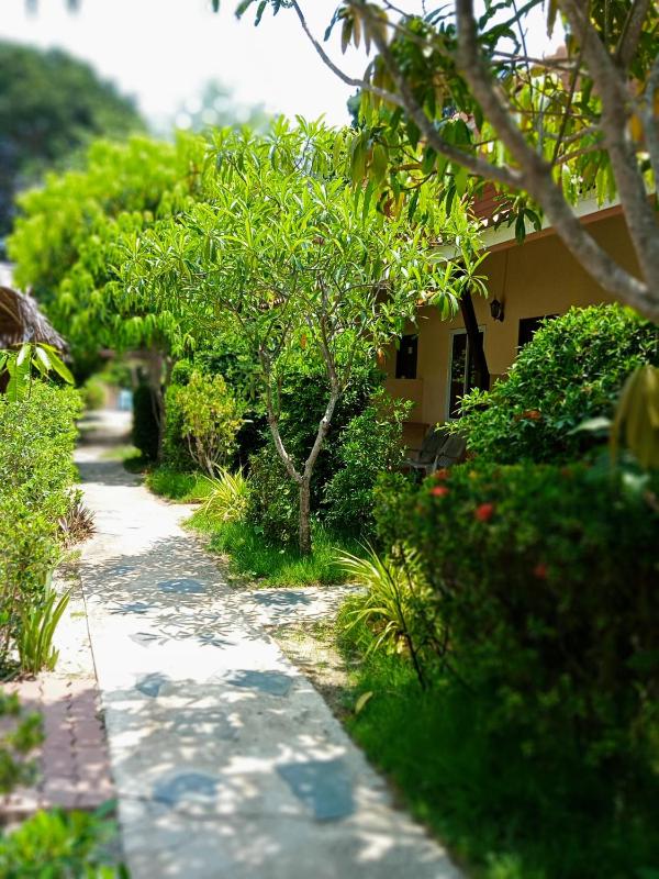 New Andaman Bay Bungalow - image 4