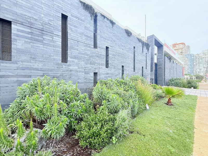 Spectacular apartment in Reñaca - Playa Cochoa - image 26