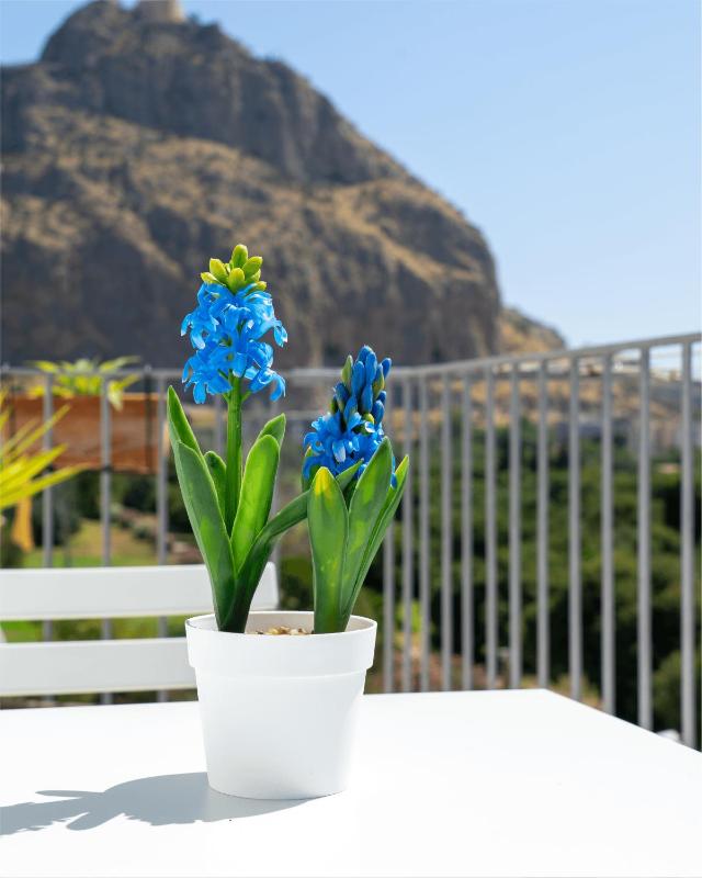 Airoldi Home - image 16