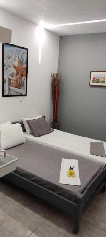 Petite Economy Lodge - image 10