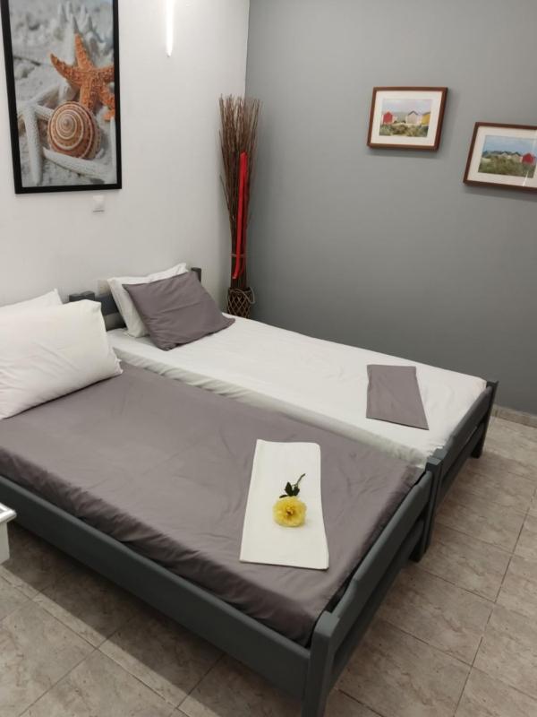 Petite Economy Lodge - image 16
