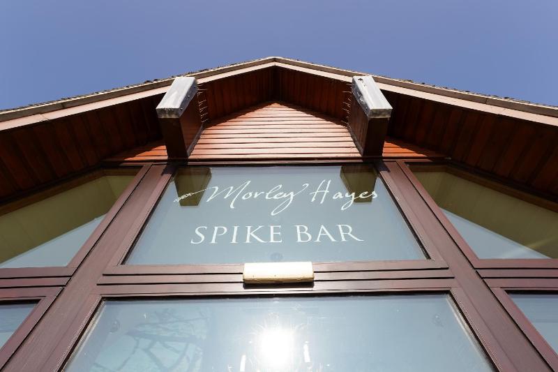 Morley Hayes Hotel - image 6