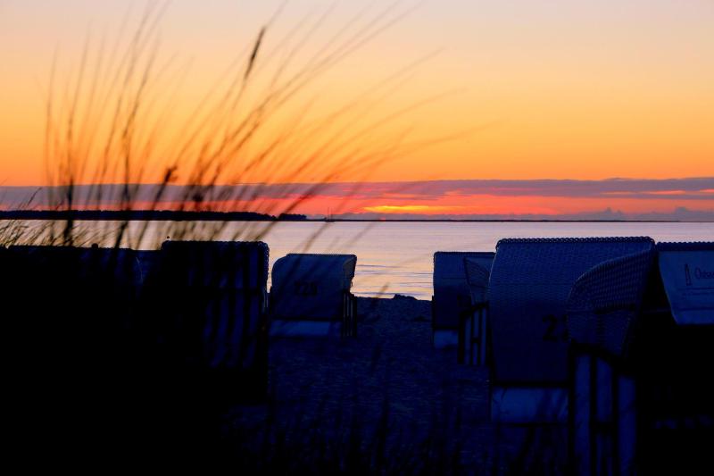 One-Bedroom Apartment image 4