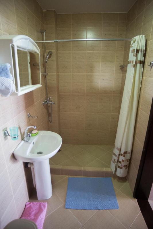 Standard One-Bedroom Apartment with Sea View  image 4