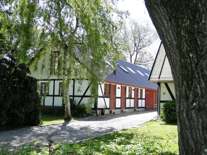 Twin Room with Garden View image 2