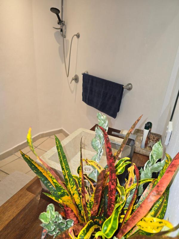 Angels Beachhouse - Beachfront fast internet Queen beds new owners - image 4