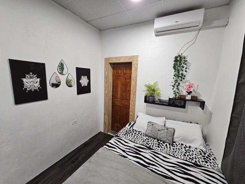 Comfy Carnival Rental - image 8
