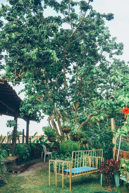 Chill House Pipa - image 17