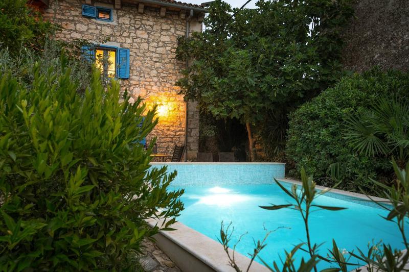 Villa Istrian garden - image 48