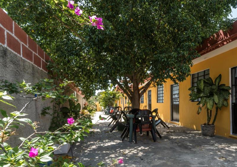 Casa Cuevas & Amaro - image 9