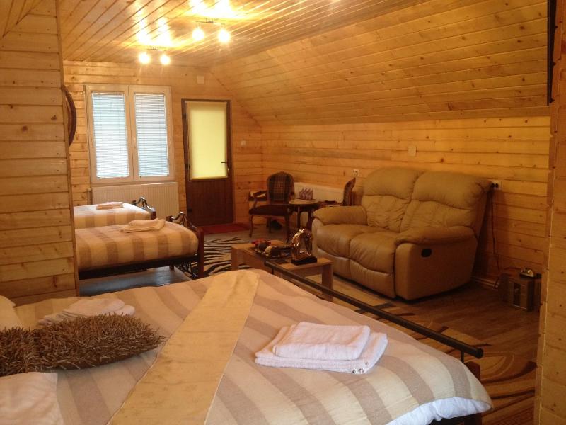 One-Bedroom Suite image 4