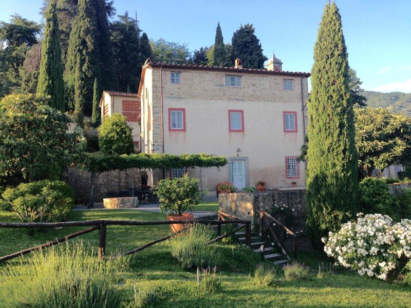La Vistosa - image 21