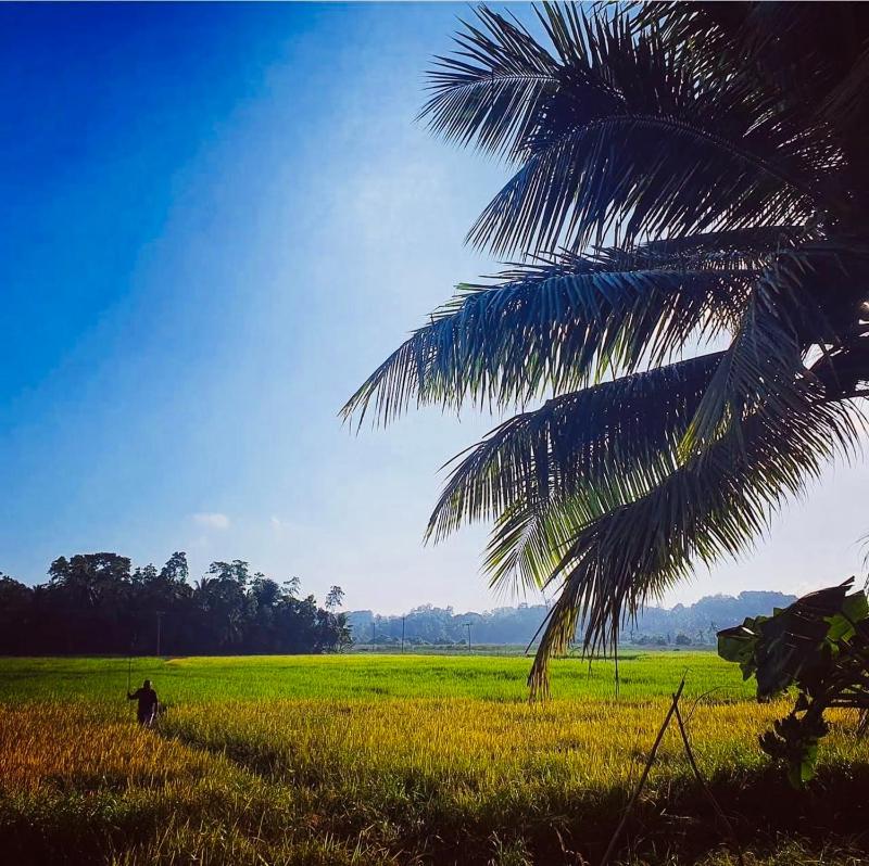 Cinna Coco Villa - image 16