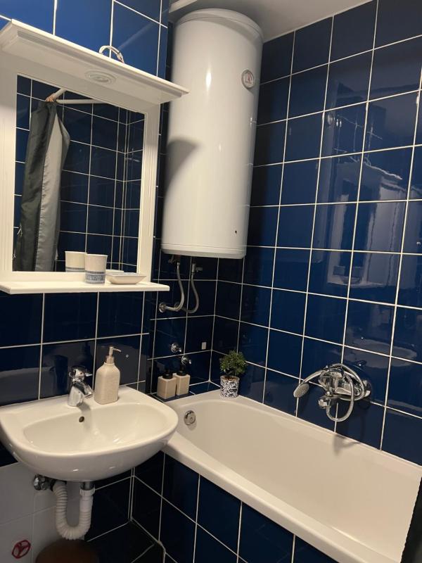 Lux Apartment Gusinjac - image 2