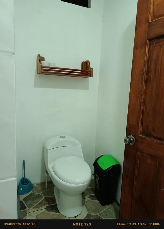 Coconut Lodge #2 - image 15