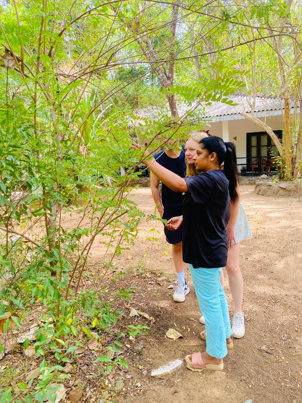 Zensigiri Homestay - image 6