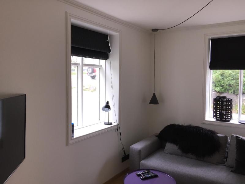 One-Bedroom Apartment image 4