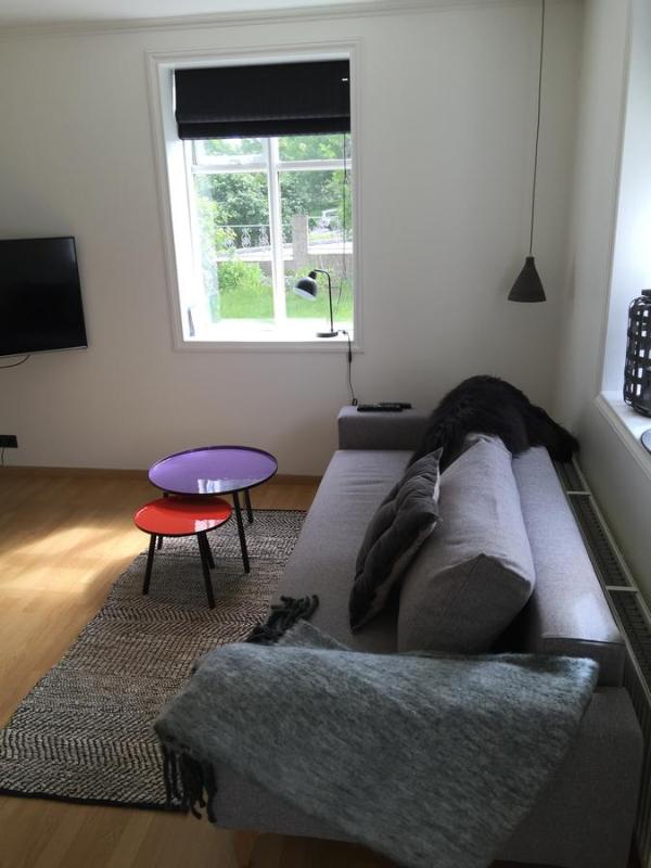 One-Bedroom Apartment image 2