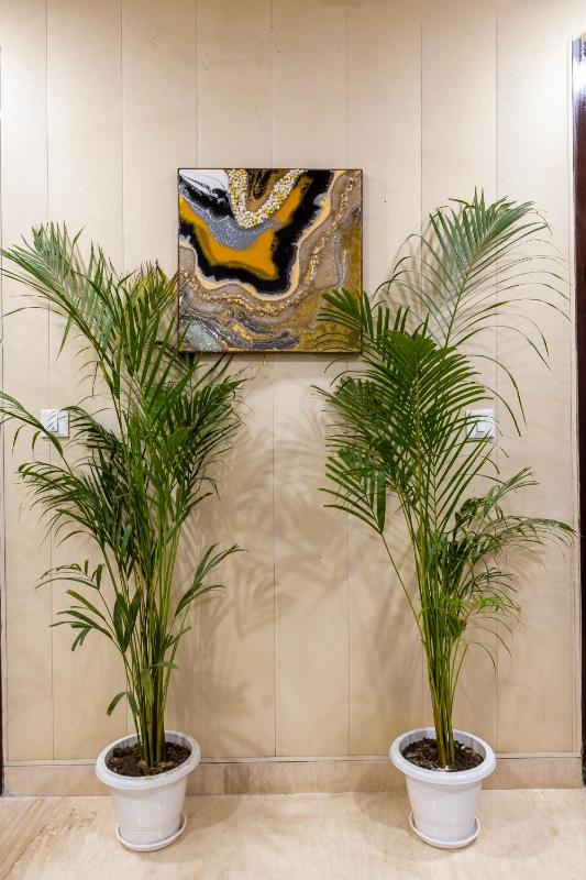Aliste millennium City centre Fortis Gurugram - image 37
