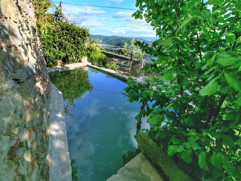Stone house villa with Spa in Cortona - image 19