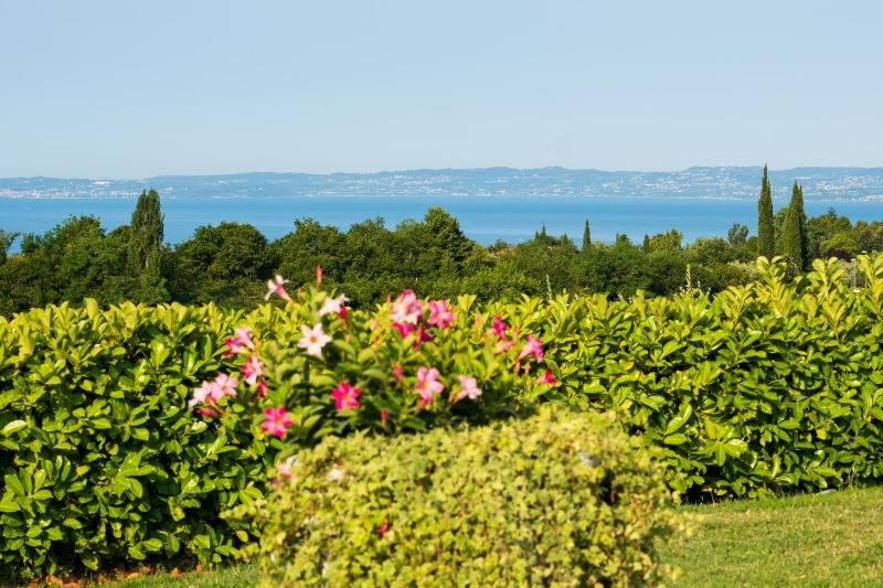 NEW Villa Tosca - image 9