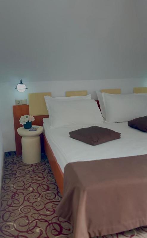 Pension Belascu - image 8