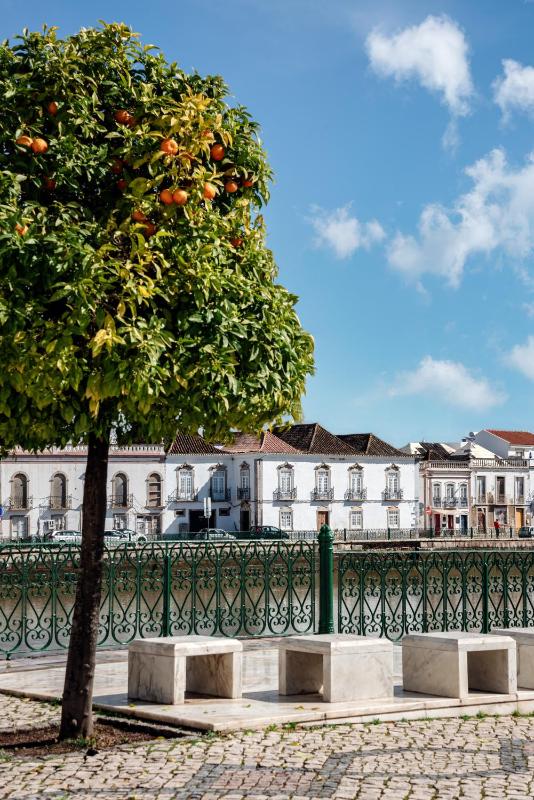 Palácio de Tavira a Small Luxury Hotel of the World - image 45