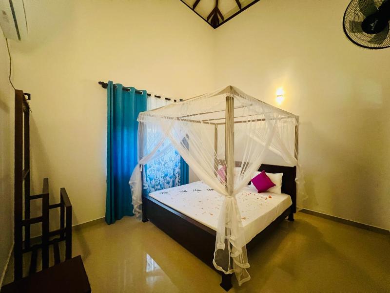 King Royal - Tangalle - image 8