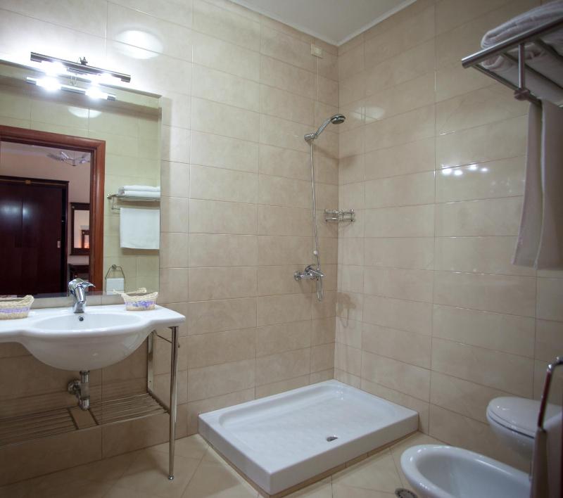 Deluxe Double Room image 3
