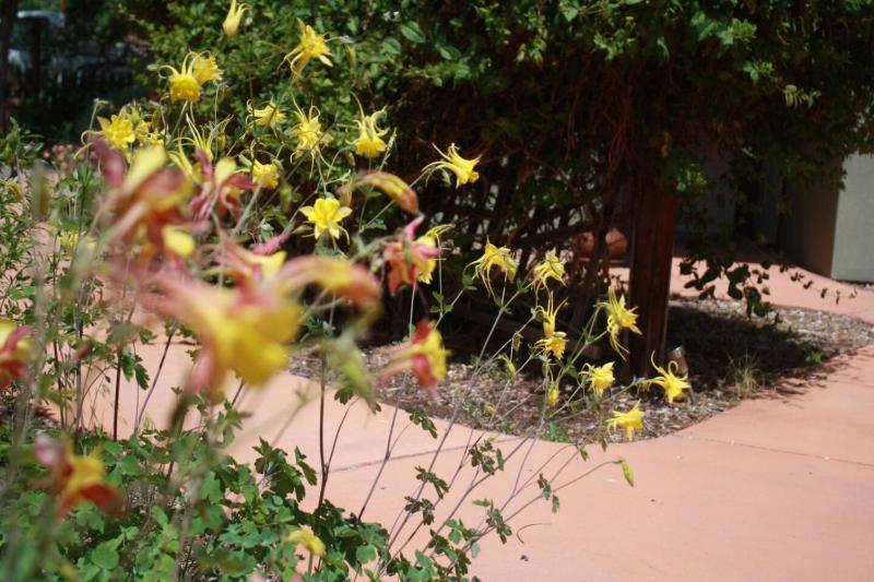 French Quarter Garden Cottage-Downtown Hot Tub - image 27
