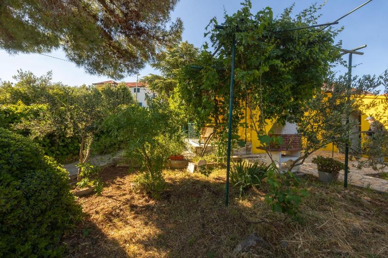 House Bojan - image 23