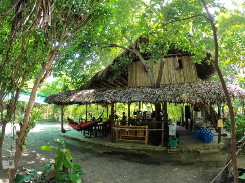 daTerra Baucau agroecological farm stay - image 10