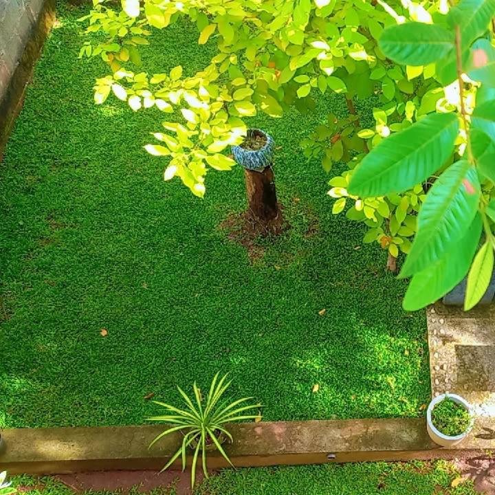 Mandara Holiday Home - image 7