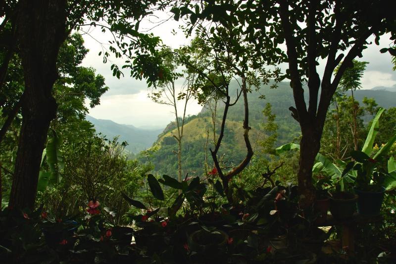 Bliss In Viya ella - image 15