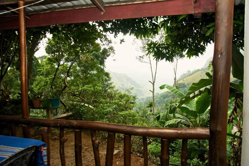 Bliss In Viya ella - image 3