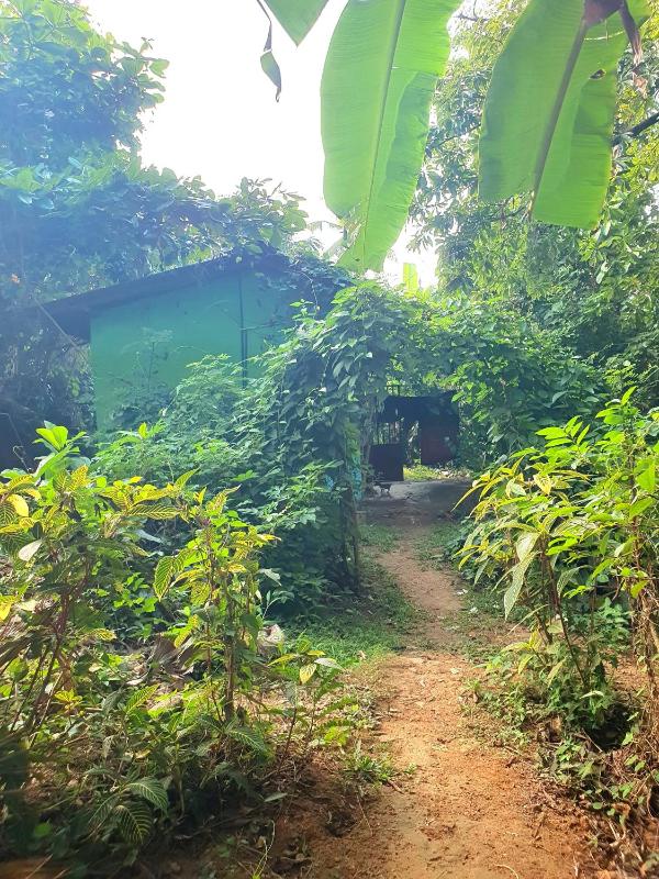 Parami Buddhist Meditation Center - image 12