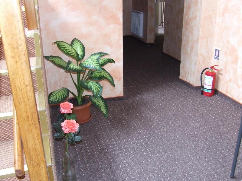 Single Room image 4