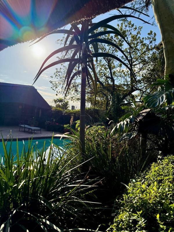 Europa Bed and Breakfast - image 9